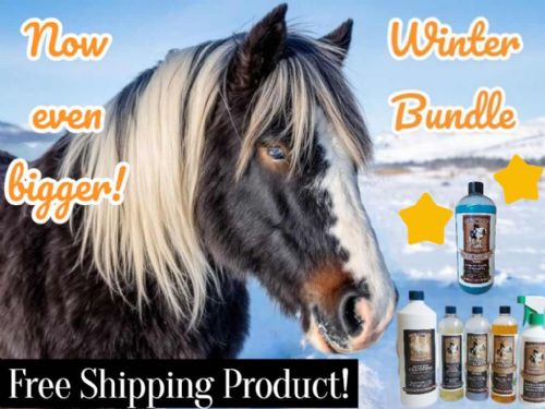 Winter Bundle *Now Even Bigger* + *Free Shipping*